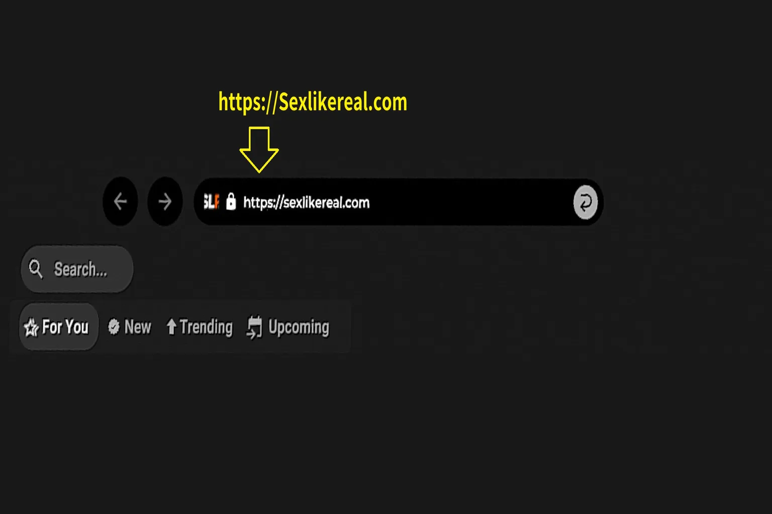 Barra del navegador de SexLikeReal en DeoVR con la dirección sexlikereal.com
