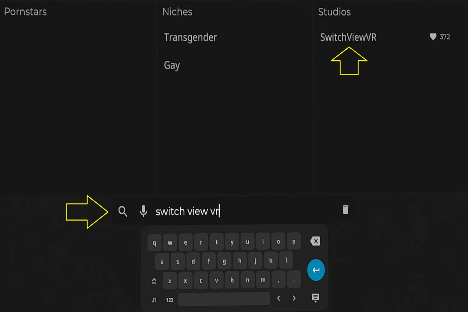 Una demostración de búsqueda por texto en SLR donde se introduce el nombre del creador “switchviewVR”. Se muestran el teclado en pantalla y el botón de búsqueda, explicando cómo buscar por nombre de estudio.