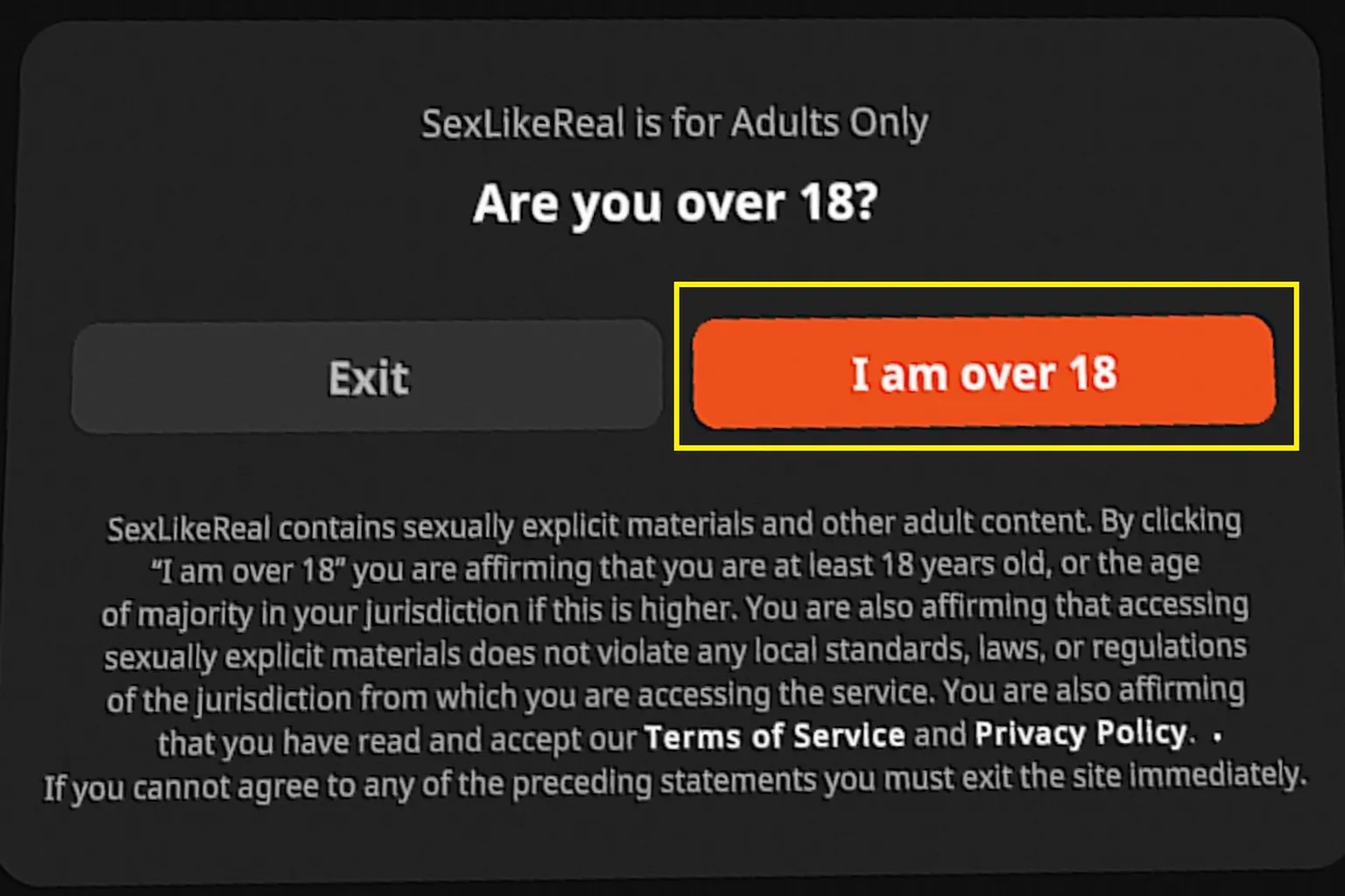 Pantalla de verificación de edad de SexLikeReal para confirmar que el usuario es mayor de 18 años
