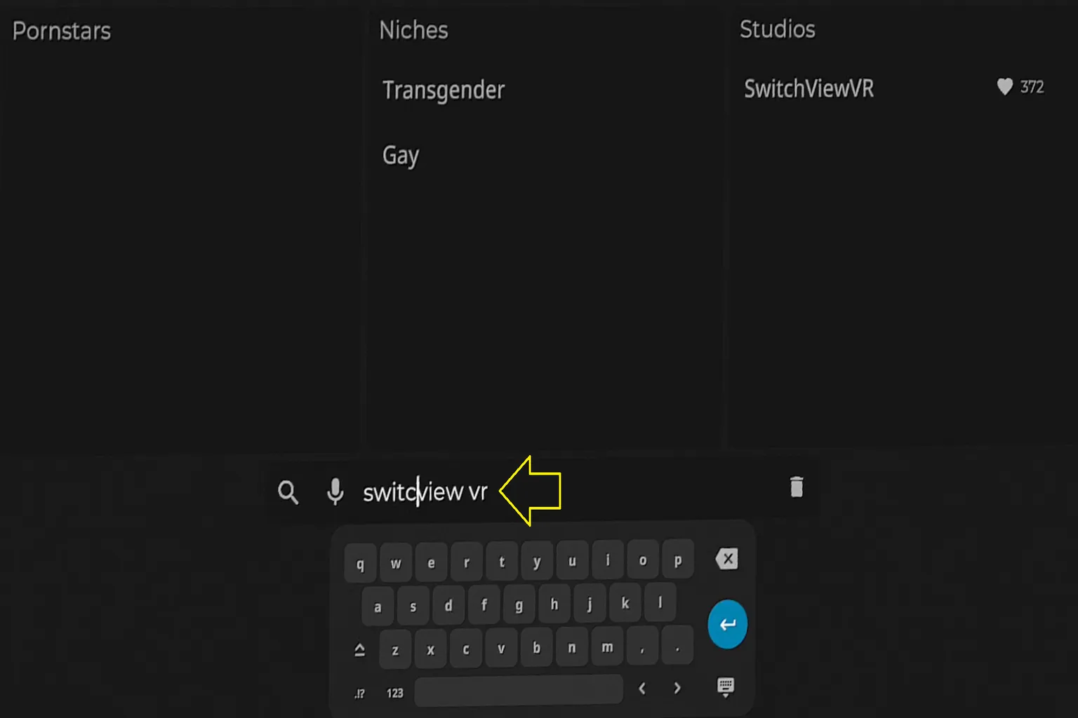 Una demostración de error tipográfico en la búsqueda de SLR. Incluso si se escribe por error “Switcview VR”, el sistema sigue encontrando Switchview VR, mostrando la tolerancia de la función de búsqueda.
